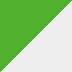 LIME GREEN / PEARL STARDUST WHITE